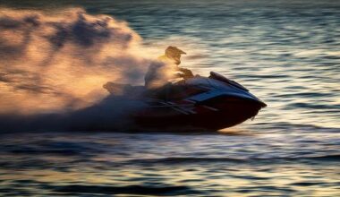Jetski gets ‘very close’ to whale in Otago Harbour: police