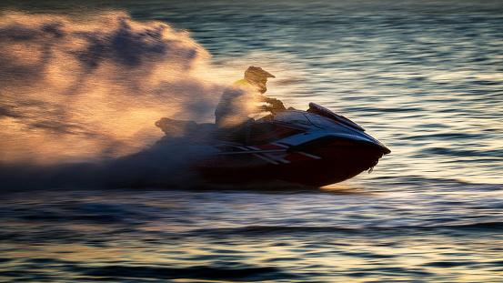 Jetski gets ‘very close’ to whale in Otago Harbour: police