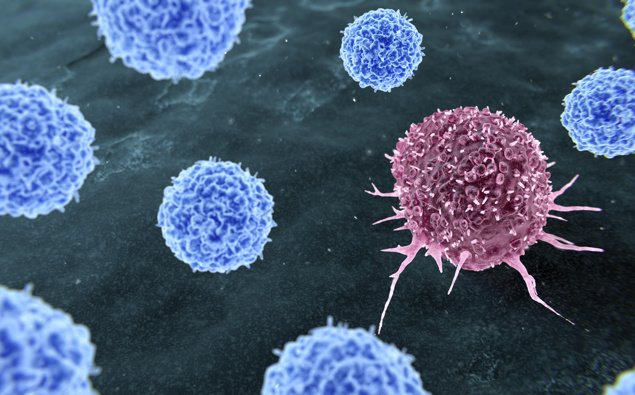 Department of Cancer Sciences head outlines vision for comprehensive cancer centre
