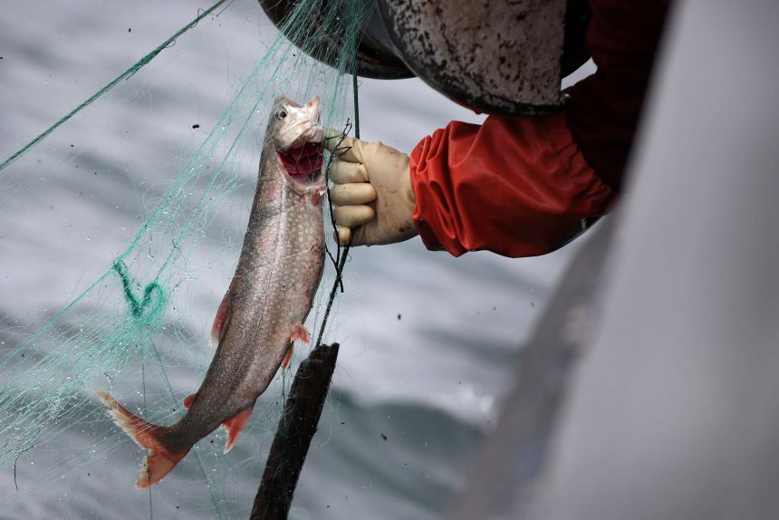 Fishing on the Great Lakes has weathered the storms of parasitic sea lampreys. Now invasive mussels pose an existential threat.