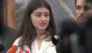 Greens urge freeze on large-scale data centre consents in NZ
