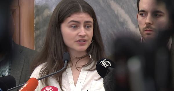 Greens urge freeze on large-scale data centre consents in NZ