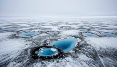 dark dirty ice and meltwater ponds spreading across the Greenland ice sheet surface, greenland lost 105