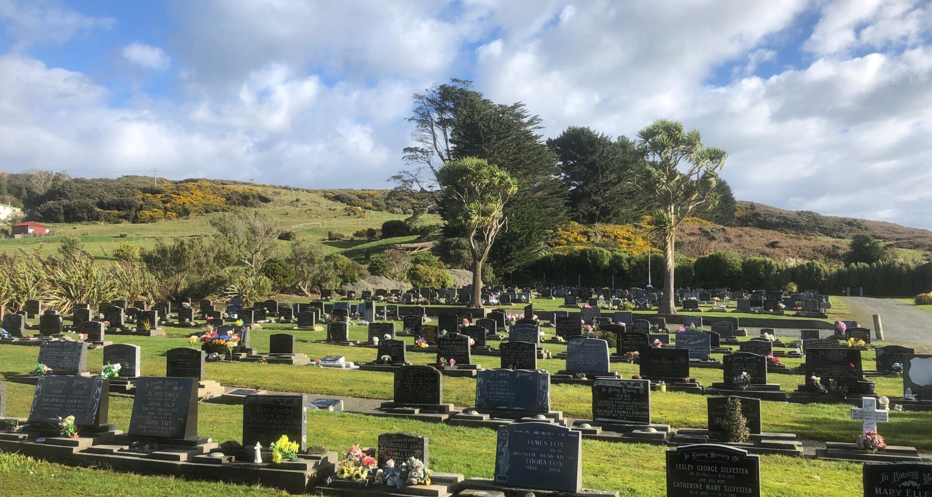 ‘Traumatic experience’ at Southland cemetery due to drainage issues
