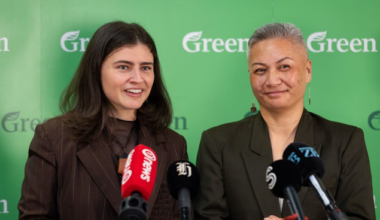 Greens promise $980m public power company to cut bills and boost renewables