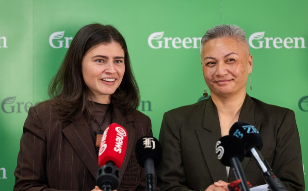 Greens promise $980m public power company to cut bills and boost renewables