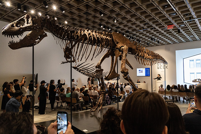 gus-most-expensive-t-rex-during-the-auction-at-sothebys-in-new-york