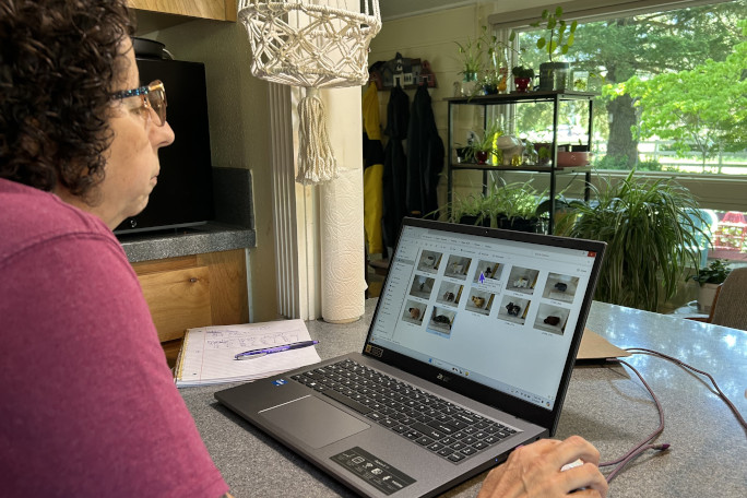 Sheri organizing her hippo pics on her laptop