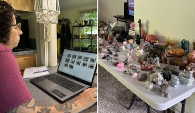 Split image of Sheri itemizing her collection, and some of her hippos lined up