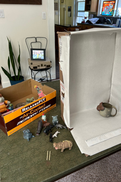 Categorizing Sherri's hippos in front of a box