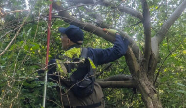 Volunteers wade through river to battle weeds