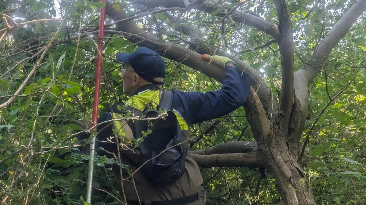 Volunteers wade through river to battle weeds