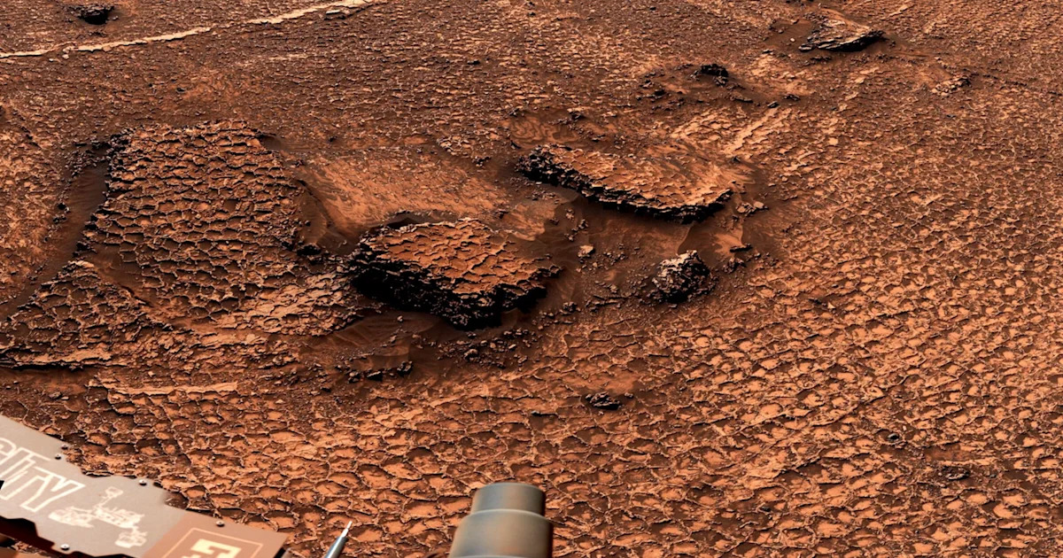 NASA Mars Rover Discovers Field of Mesmerizing Polygons