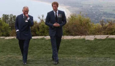 Prince Harry Has Just One Way to Make Amends With King Charles — Insider