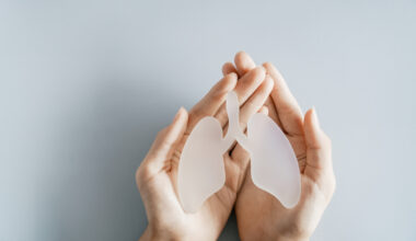 Hands holding lung, world tuberculosis tb day, world no tobacco day, lung cancer, COPD, eco air pollution, organ donation concept.