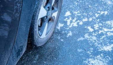 'Minor crashes' as sub-zero temperatures close icy Hawke's Bay highway