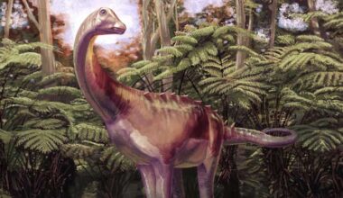 83-Million-Year-Old Fossil Rewrites Timeline of Antarctica’s First Dinosaur Discovery