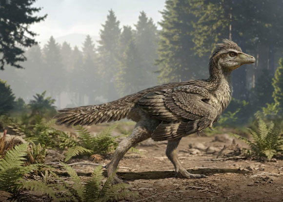 Life reconstruction of Zhengheornis buyu. Image credit: Chung-Tat Cheung.