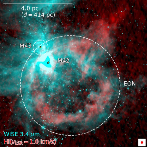 Extended Orion nebula shell sampled by HI emission from the combined VLA and FAST observations (shown in red), Hα emission from the European Southern Observatory Digitized Sky Survey (shown in green), and 3.4-μm emission registered by the Wide-field Infrared Survey Explorer (WISE) satellite (shown in blue). Image credit: Juan D. Soler, University of Vienna / NRAO / VLA / NASA / WISE.