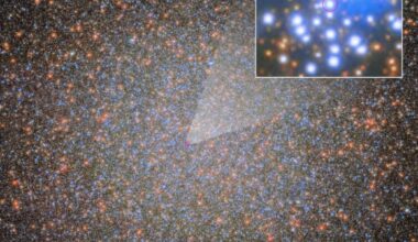 Whitaker et al. found Omega Centauri’s first stellar-mass black hole, which has a visible star companion that is shown in greater detail. Image credit: ESA / NASA / Maximilian Häberle, MPIA / Joseph DePasquale, STScI.