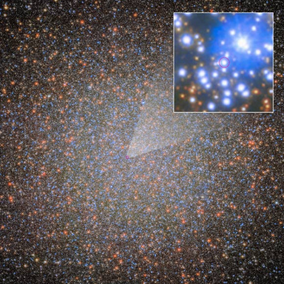 Whitaker et al. found Omega Centauri’s first stellar-mass black hole, which has a visible star companion that is shown in greater detail. Image credit: ESA / NASA / Maximilian Häberle, MPIA / Joseph DePasquale, STScI.