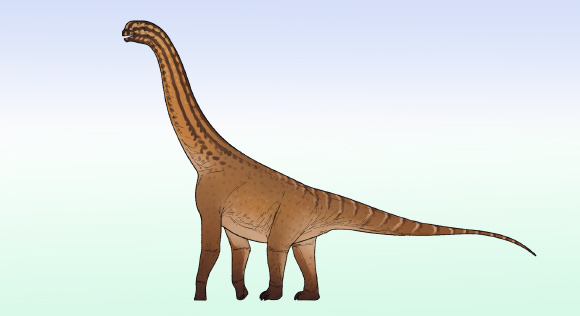 Life reconstruction of Ceratocaudia antiqua, the earliest-known macronarian neosauropod species from India. Image credit: Connor Ashbridge / CC BY 4.0.