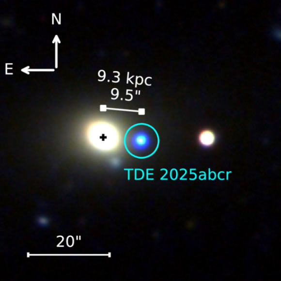TDE 2025abcr. Image credit: Stein et al., doi: 10.3847/2041-8213/ae77f3.