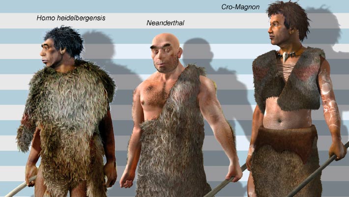 224,000-Year-Old Homo Skull Fragment Adds New Mystery to Human Origins