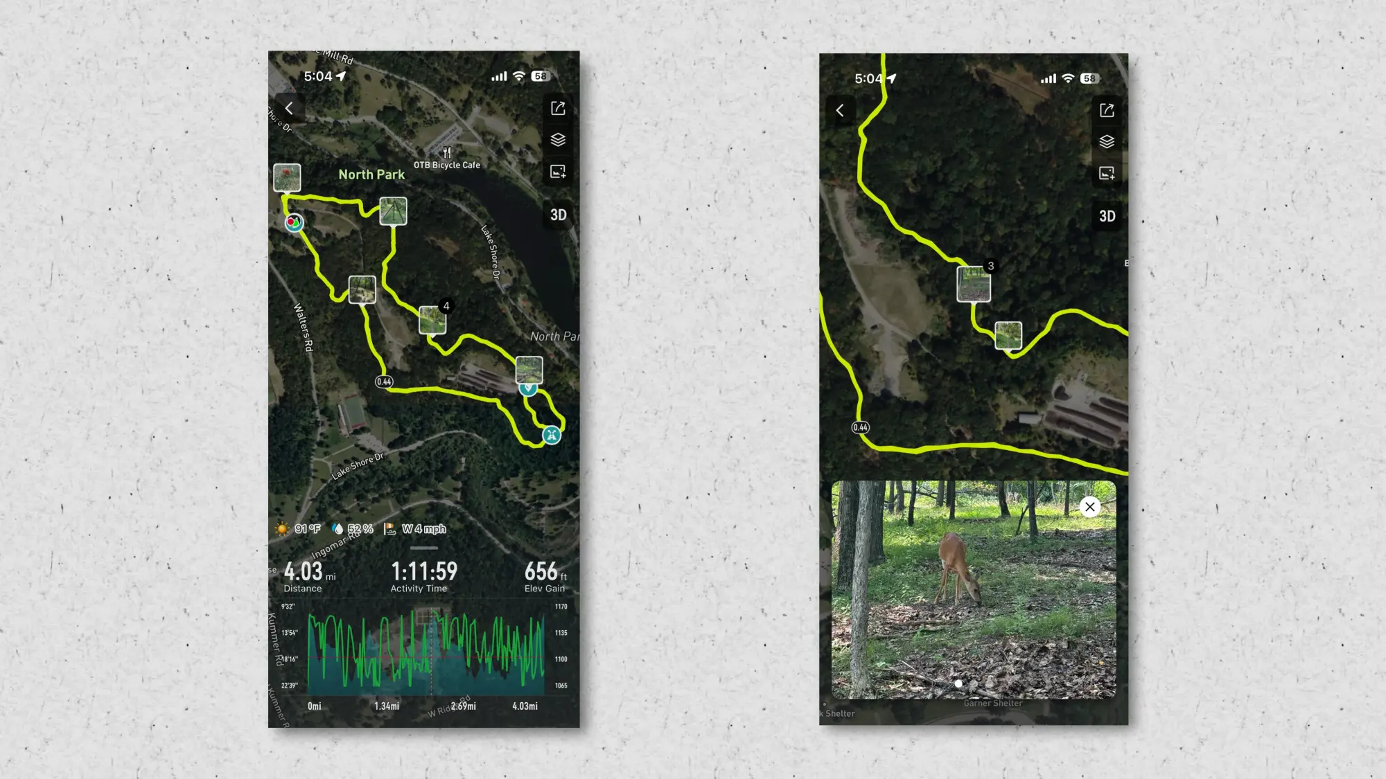 Photos on a map; one is of a deer