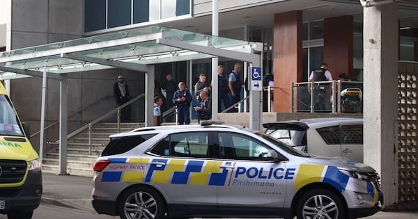 Nine more arrested over gang brawl on Palmerston North court steps