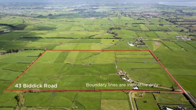 In total, Auckland Council said it owns and operates 53 cemeteries across the region, which cover approximately 300 hectares.