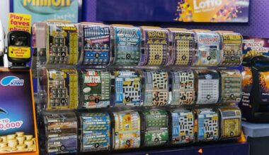First $1m online Instant Kiwi prize won by Tasman woman