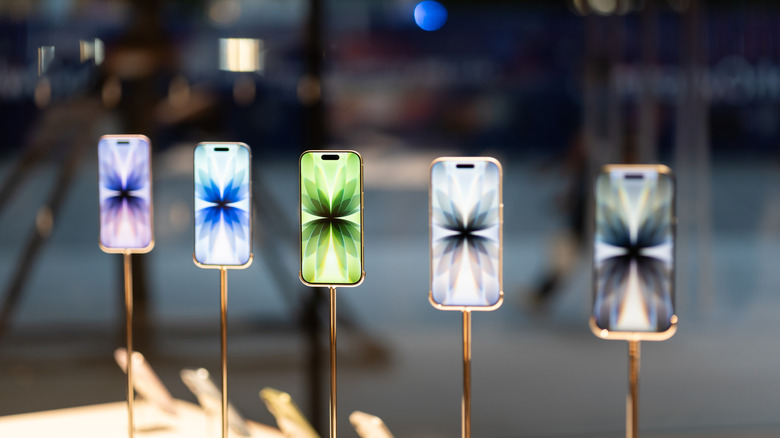 The standard iPhone 17 models on display.