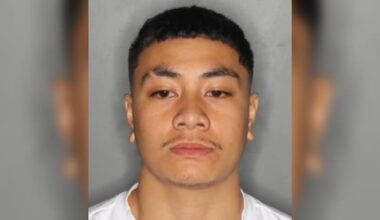 'Dangerous' man wanted after shot fired at Auckland property