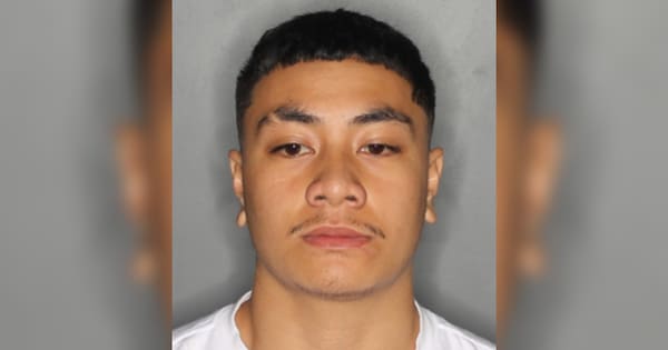 'Dangerous' man wanted after shot fired at Auckland property