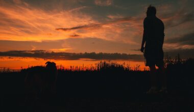 Seeing Green: Nature Immersion Has Its Benefits