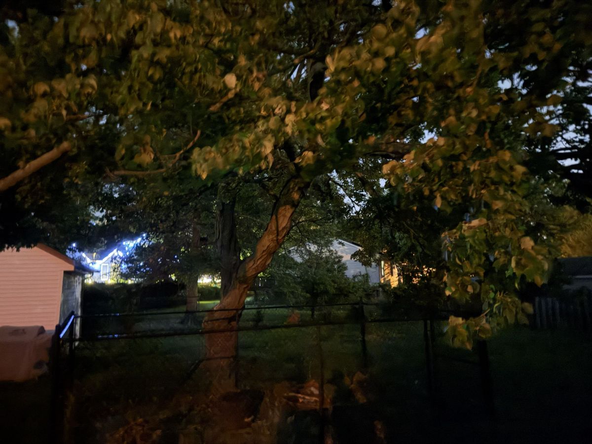 Apple iPhone 17 Pro Max camera sample.