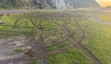 'Eyesore': Scenic Kaikōura beach spot ripped up by vandal
