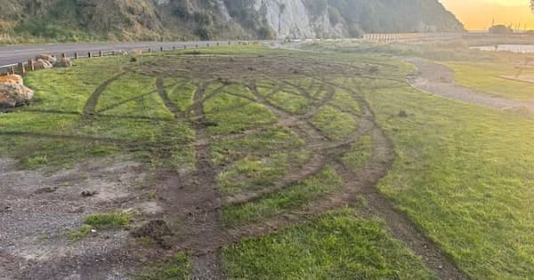 'Eyesore': Scenic Kaikōura beach spot ripped up by vandal