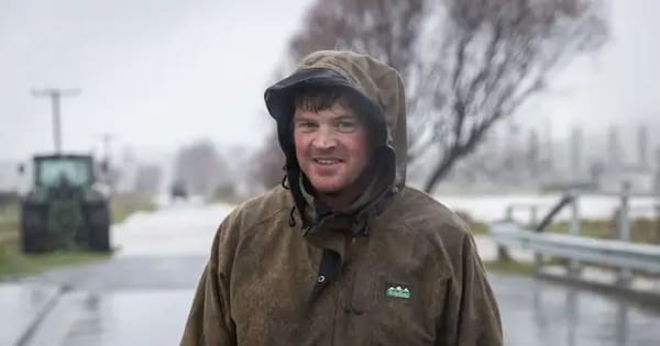 Kaikōura farmer loses fences, feed week out from start of milking