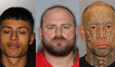 Police separately seeking three dangerous men across North Island