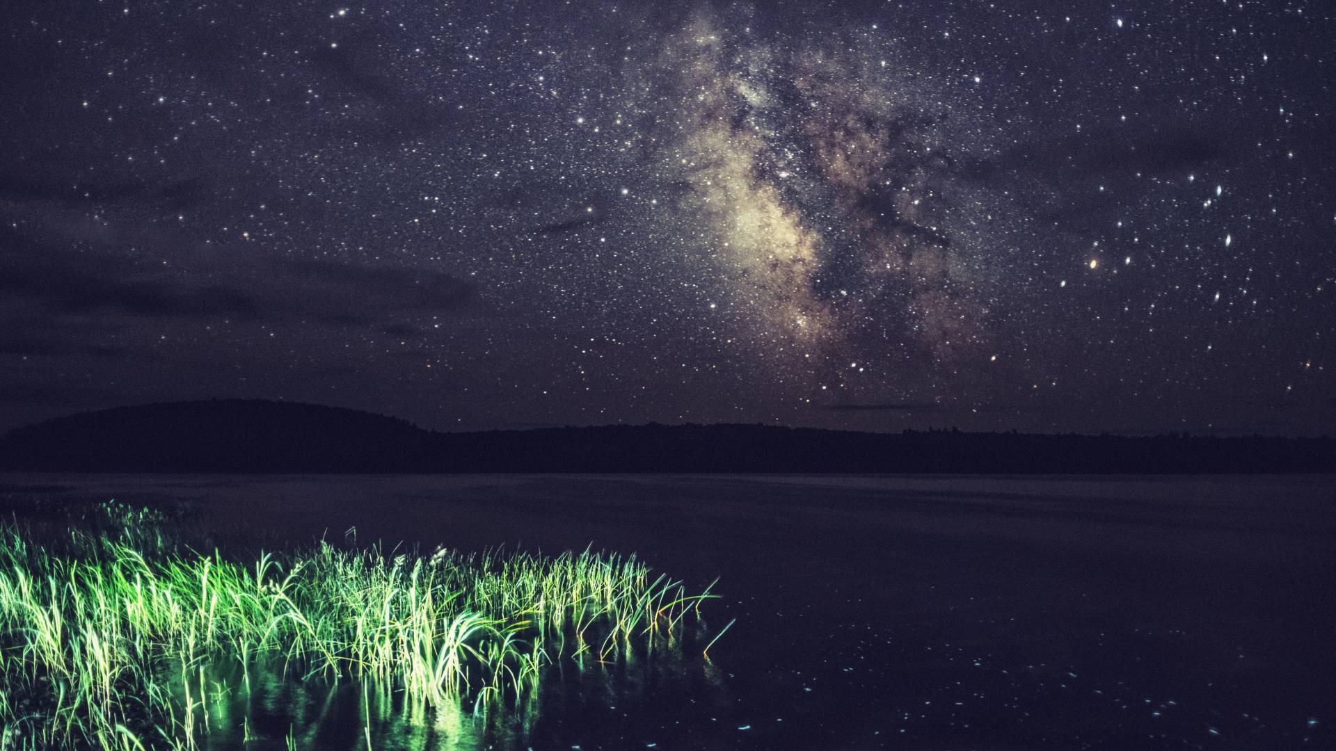 The Milky Way galaxy shining brightly in a star-filled night sky over a calm lake, with tall grass in the water illuminated in the foreground and a dark treeline in the background.