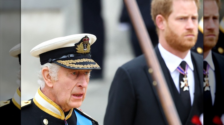 King Charles with Prince Harry standing behind him at Queen Elizabeth's funeral