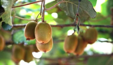 Horticulture company fined $135k for 'flouting' migrant worker rules