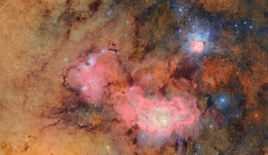 A 10-Year Sky Survey Begins Filming A 'Cosmic Movie,' Cyborg Cockroaches Go For A Dive And More Science Stories