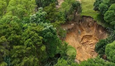 Mauao summit track repairs complete as base track recovery begins