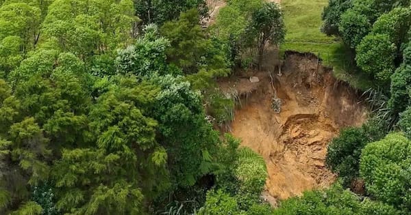 Mauao summit track repairs complete as base track recovery begins