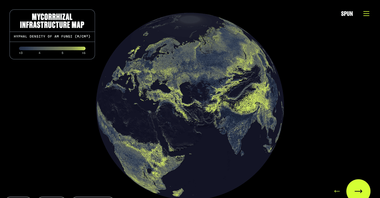 There’s a Global Network of Fungi Under Your Feet. This Is the First Complete Map