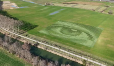 Largest Photograph Ever Made Created in Wheat Field