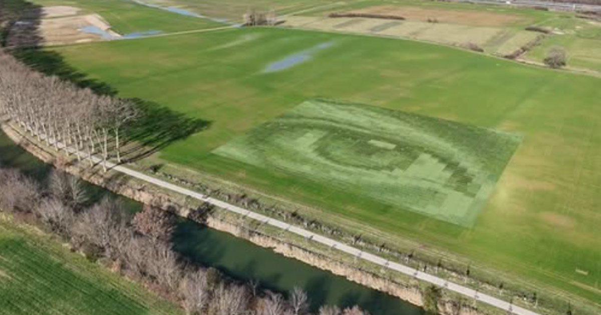 Largest Photograph Ever Made Created in Wheat Field